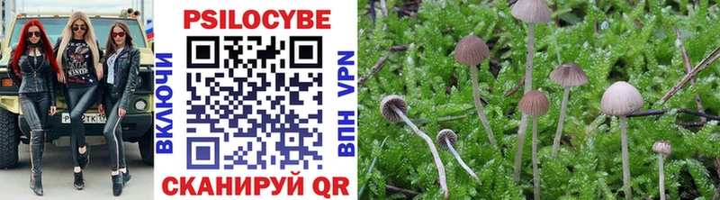 где продают blacksprut рабочий сайт Псилоцибиновые грибы Psilocybe Мариинский Посад