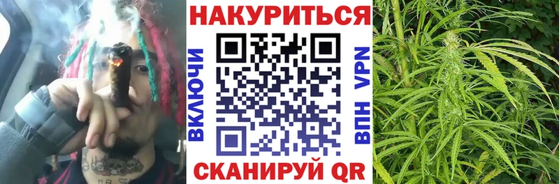 MEGA как войти  купить  цена  Мариинский Посад  Бошки Шишки семена 